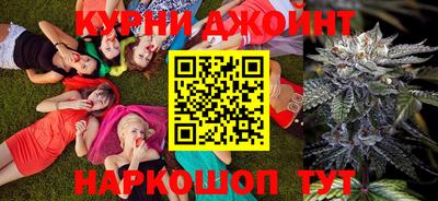 прущие грибы Нальчик
