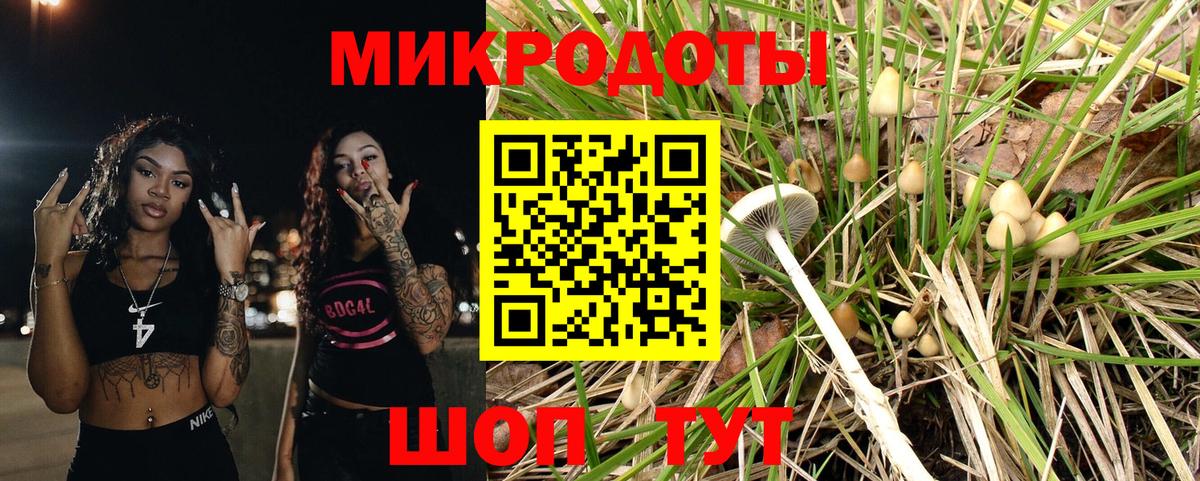 Псилоцибиновые грибы прущие грибы Сочи