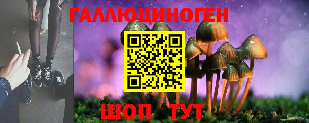 Псилоцибиновые грибы Psilocybe  Вход с VPN  Сочи 