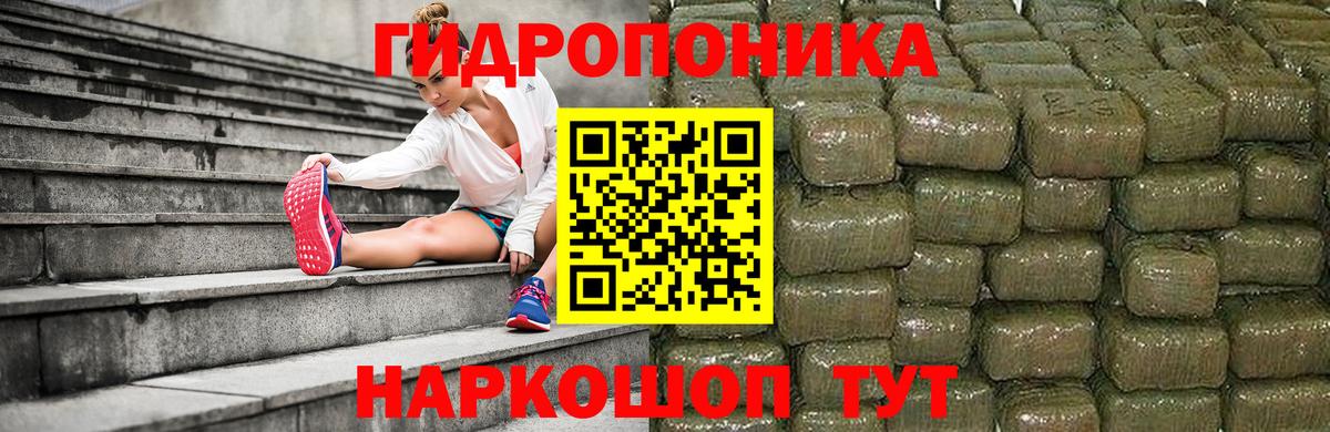 Сочи  Бошки Шишки White Widow  Конопля White Widow  Вход с VPN  Канабис индика  Конопля тримм 